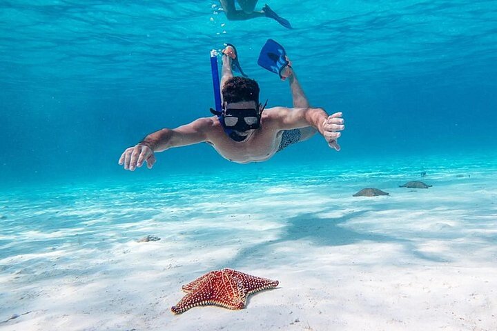 Cayman Combo Tour Stingray City, Starfish Point & Reef Snorkeling