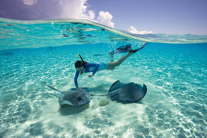 Grand Cayman Stingray City, Starfish Point & Reef Snorkel Tour