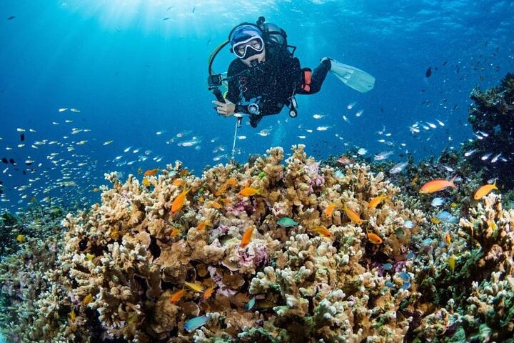 Scuba Diving Refresher(3 dives)