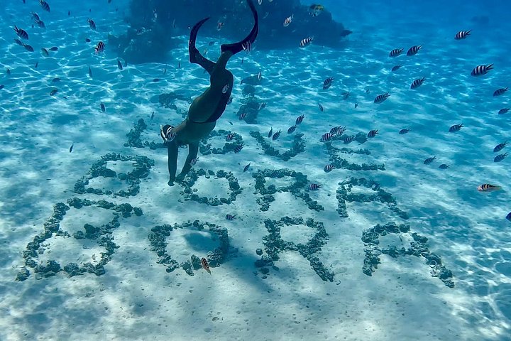 Bora Bora blue lagoon snorkeling, picnic by crazy sea horse