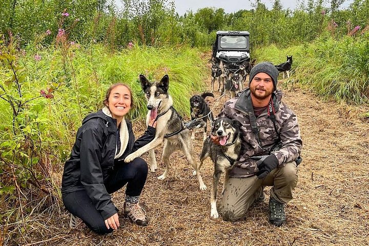 Dryland Dog Sled Tour