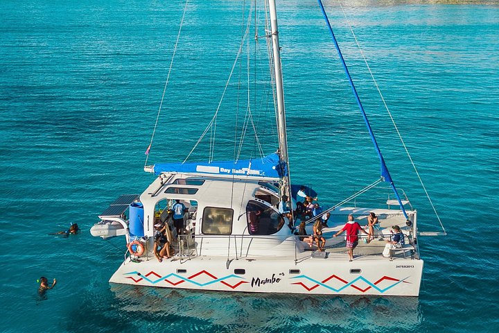 Catamaran Day Sail