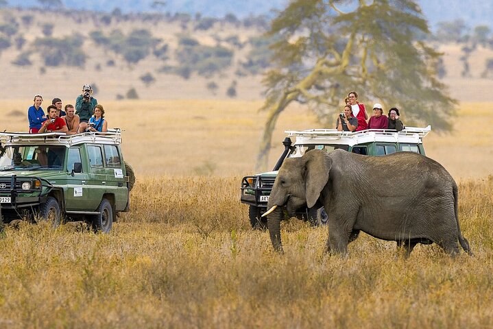 2 Days 1 Night Amboseli National Park Luxury Lodge Safari