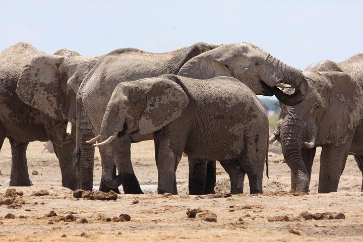 All Inclusive 3 Day Safari - Boteti & Pans