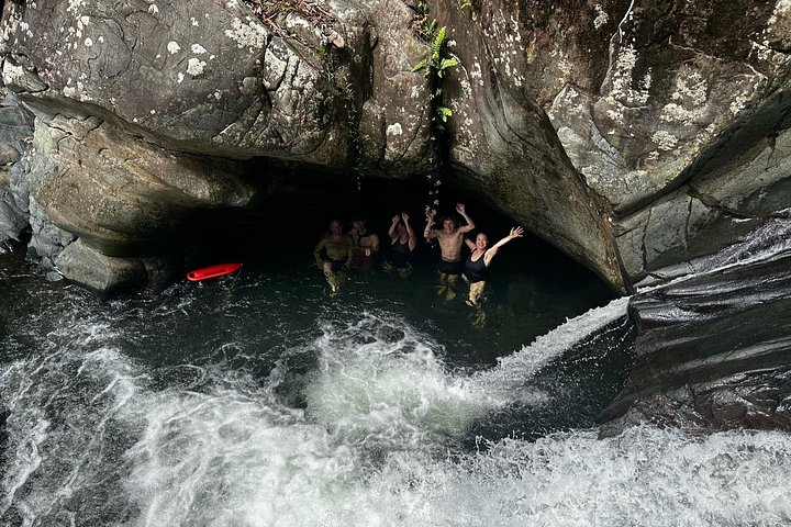 Private Rainforest Tour with Transportation
