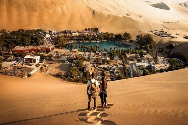 Full Day Guided Trip to Ballestas Island and Huacachina Oasis