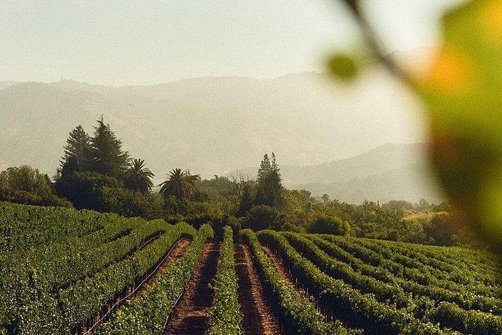 Wine Icons Tour in the Sparkling World of Chandon