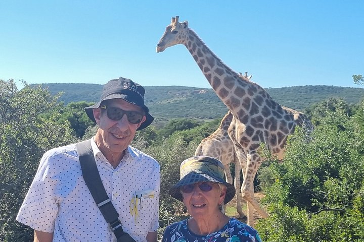 Private Full-Day Addo Elephant Park & Giraffe Walk