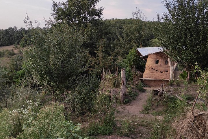 Permaculture and Homestead Tour in Șardu, Cluj