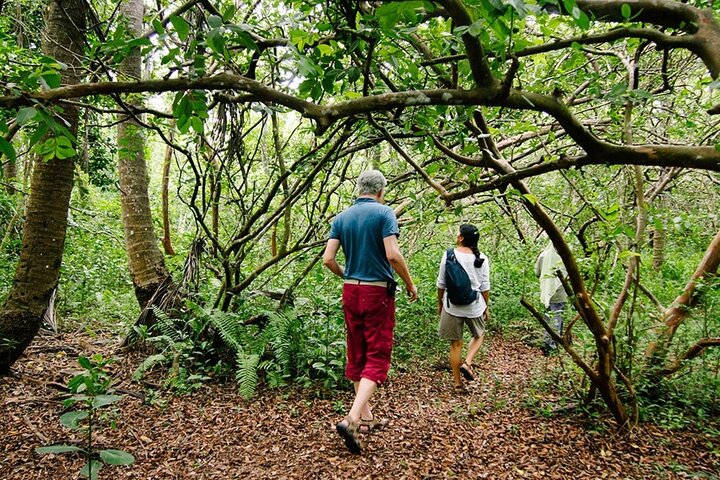 Spice farm walking tour with Zanzibar fruits tasting