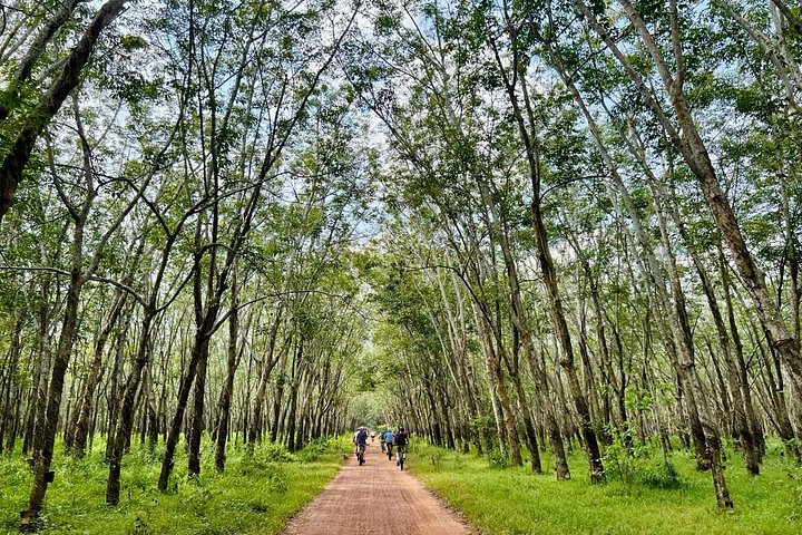Ho Chi Minh: The Legendary Cu Chi Tunnels Cycling Tour