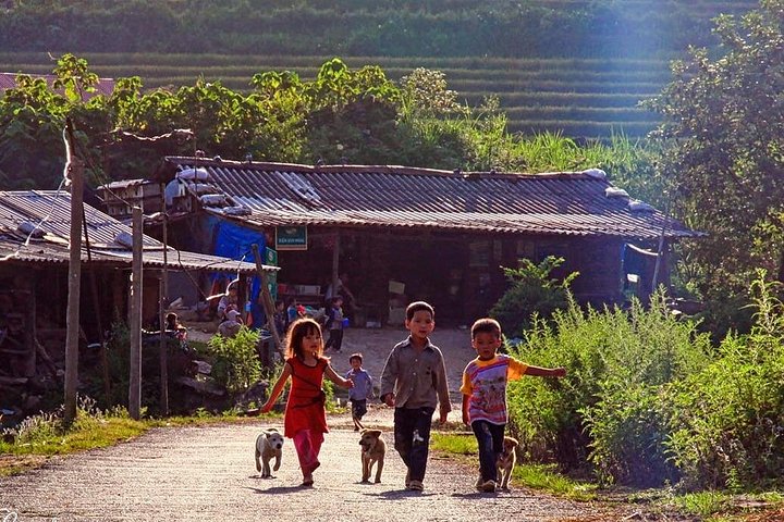 Explore Northern Vietnam in 7 Days: Ninh Binh, Ha Long Bay & Sapa