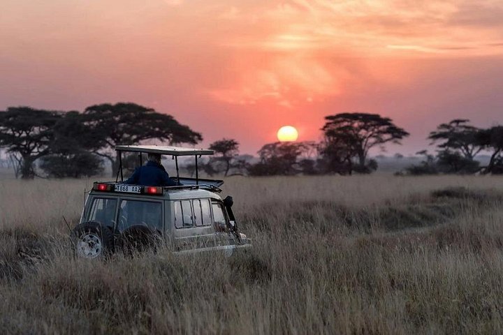 Serengeti Safari Tour