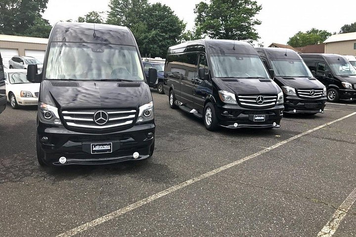 Punta Cana: Airport Transfers To Hotels For Group