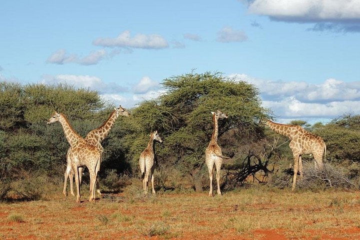 3 Days Kruger National Park Experience