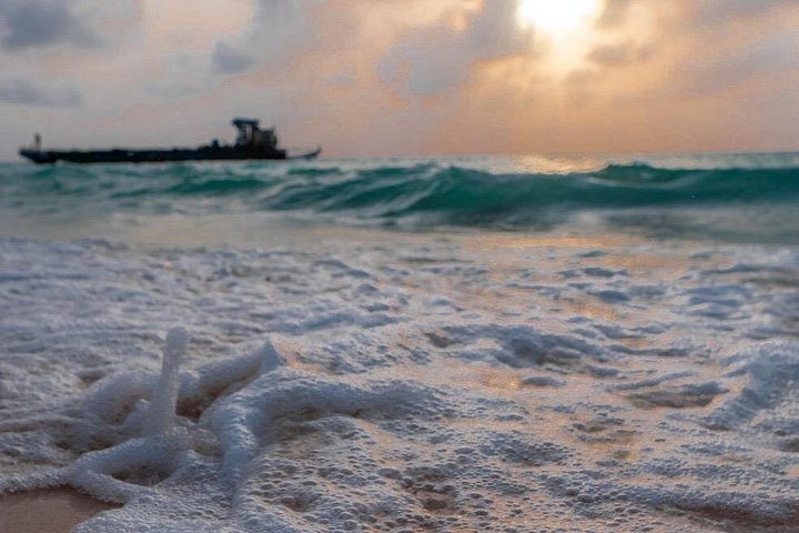 Plankton and Unforgettable Sunset Dining Experience in Baru