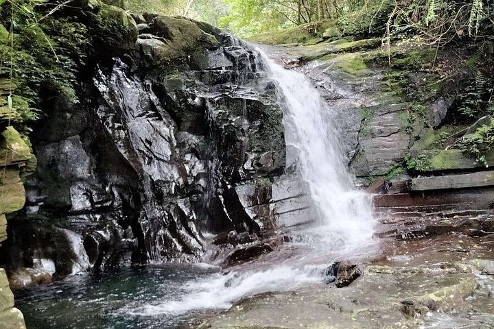 Experience Da Nang Hoi An to Hue via Bach Ma National Park Trekki