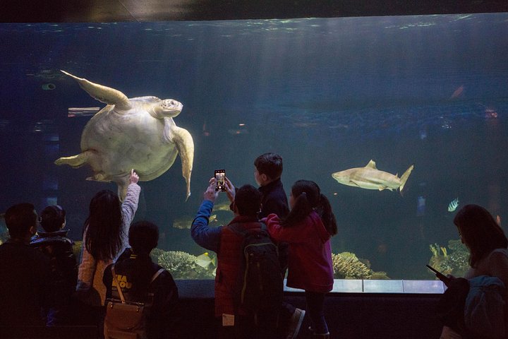 Vancouver Wildlife Maplewood Farm, Boledel Conservatory &Aquarium