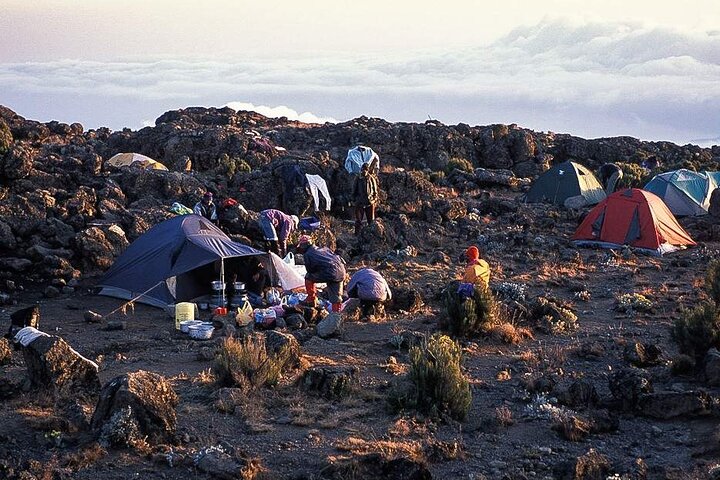 6 Day Budget Kilimanjaro Machame Route