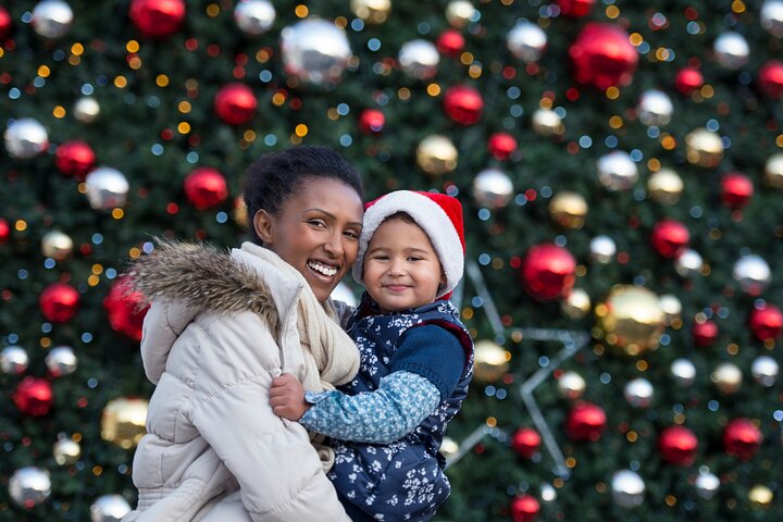 Private Christmas Walking Tour on Vancouver’s Festive Shoreline