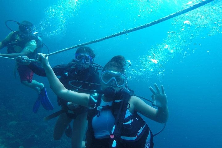 Basic Diving Tour in Rosario Islands Lunch Included