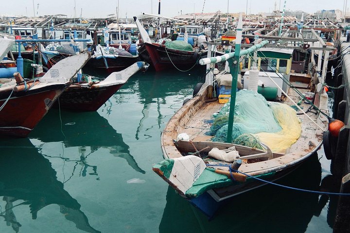 North Qatar Guided Expedition to Nature Charms