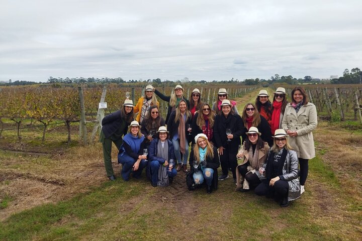 Visit a Award-winning Wine Cellar in Montevideo