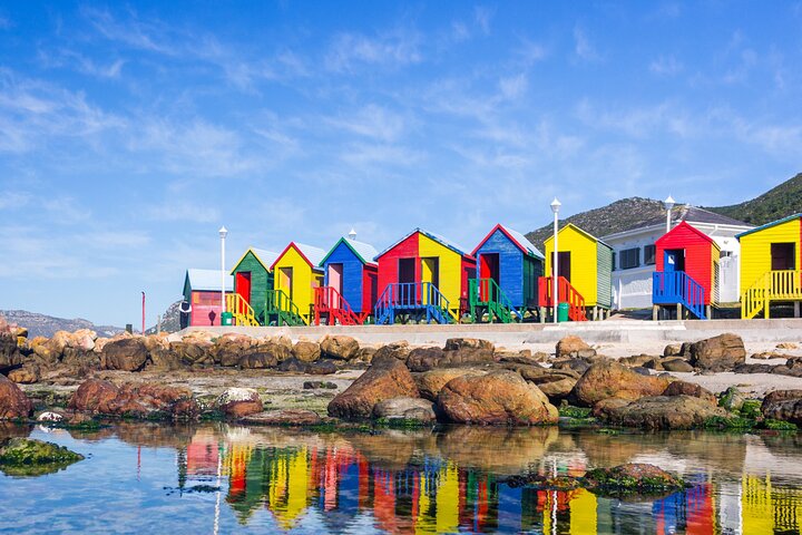 Best of the Cape Private full day tour