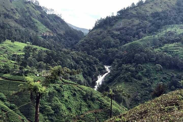 Private One Week Kerala Tour