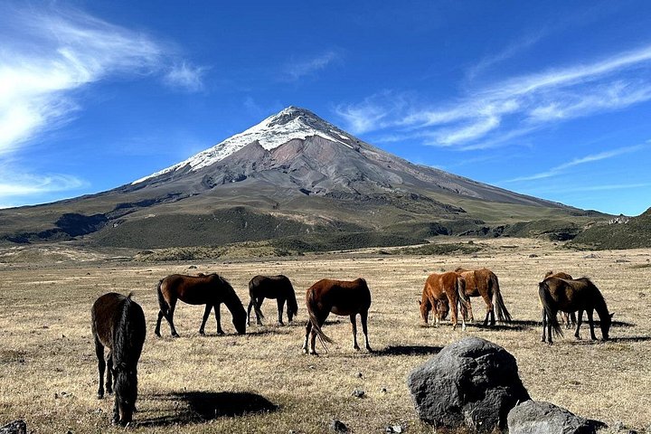 Cotopaxi National Park & Papallacta Spa – Adventure & Relax