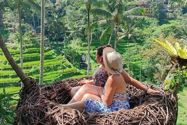 All Inclusive Ubud Tour with Ayung Ubud Rafting