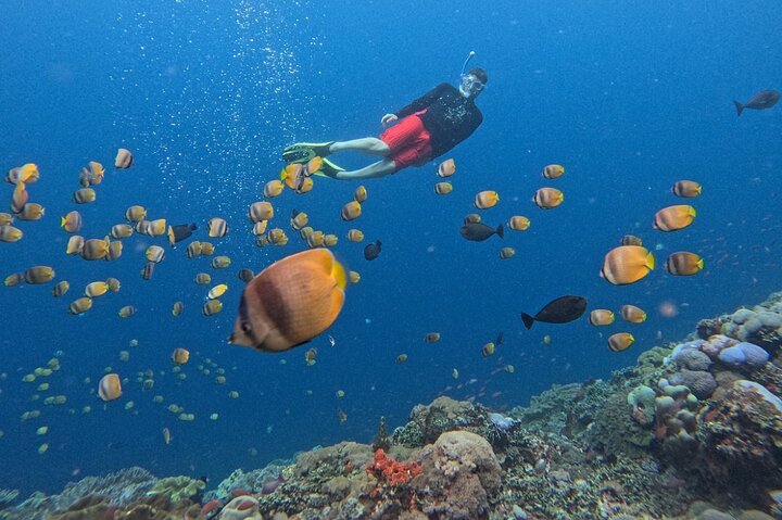 Nusa Lembongan Private Snorkeling and Island Tour from Bali