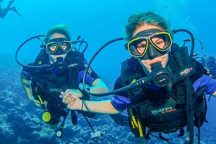 Scuba Diving Adventure With Transfers in Dubai