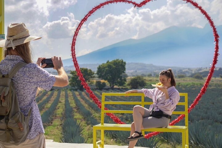 Classic Tequila Tour from GDL and CANTARITOS EL GÜERO EXTENDED!