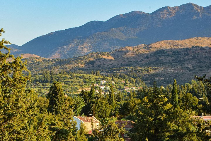 Hiking Through Cypress Forests & Historic Villages in Apokoronas