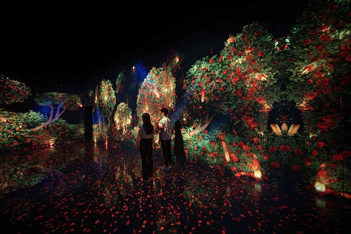 Dubai: ARTE Museum Admission with Optional Transfers