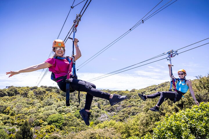 Waiheke Island Day Tour: Ziplining, Wine Tasting & Vineyard Lunch