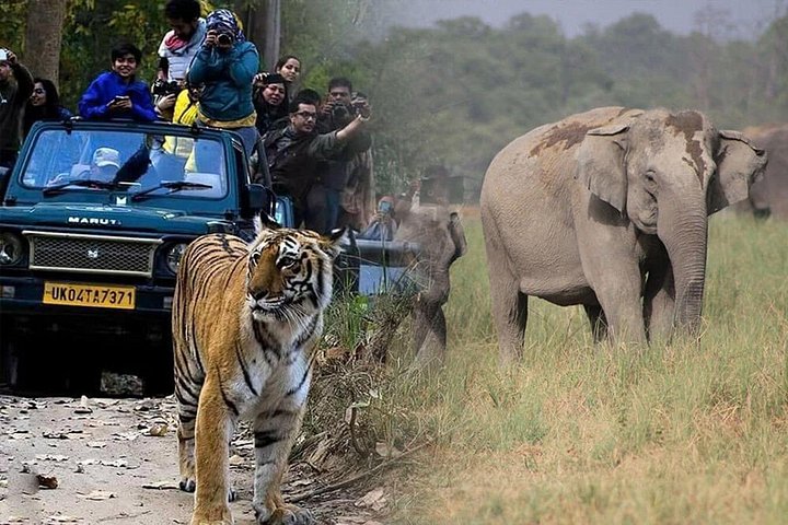 2 - Days: Jim Corbett jungle safari tour from Bangalore by Flight