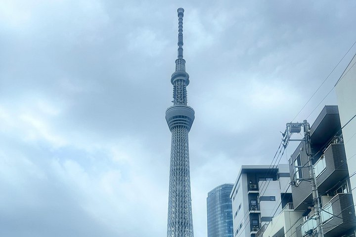 English-speaking guided day tour of Tokyo with a private vehicle