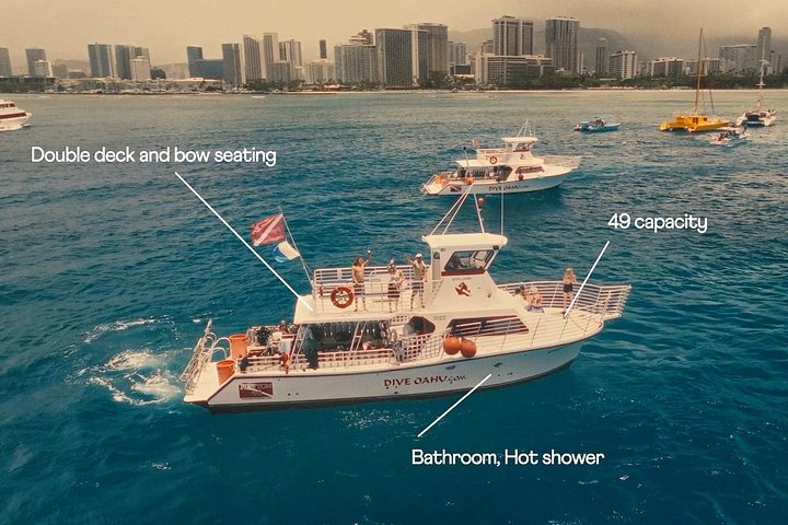 Turtle Canyon Waikiki Snorkel Adventure