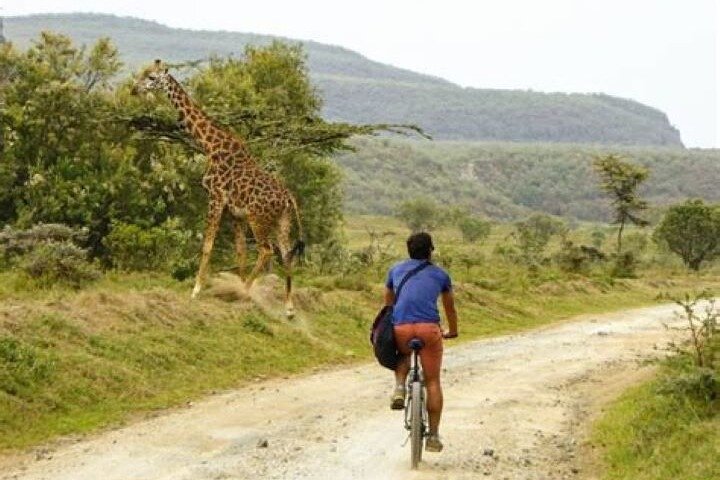 Day Tour To Lake Naivasha, Crescent Island And Hell Gate Park