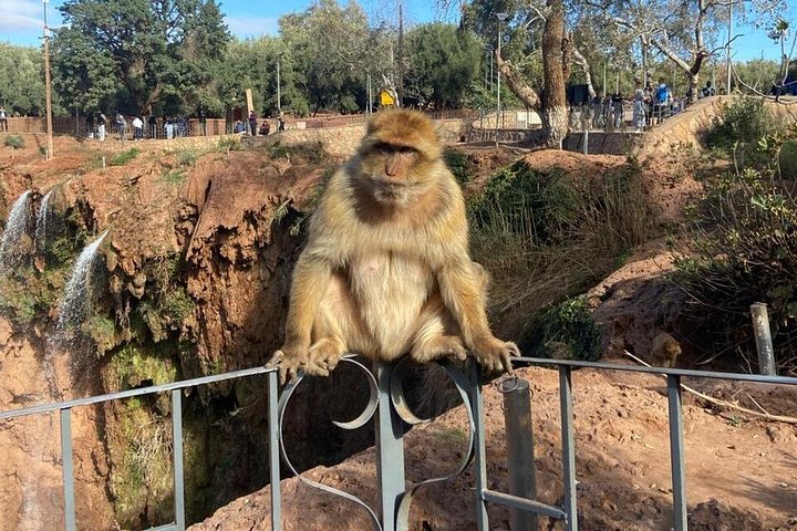 Ouzoud Waterfalls Group Tour - Cascadas De Ouzoud - Ouzoud trips