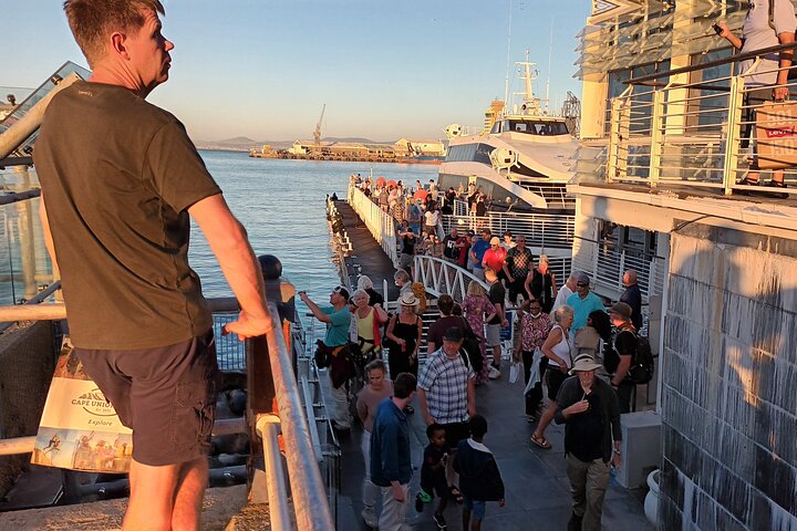 Visite d'une demi-journée à Robben Island Histoire et liberté