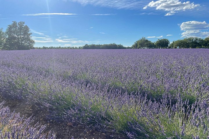 Provence pearl of southern France