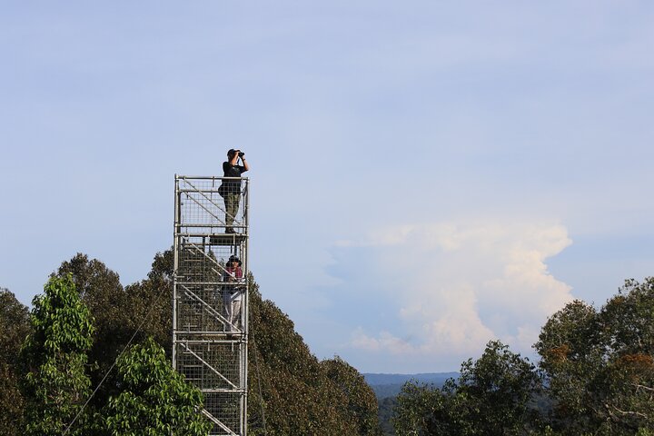 Explore Temburong with Canopy Tower