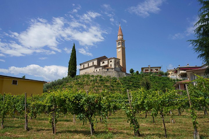 Discover the Charm of the Prosecco Hills from Venice