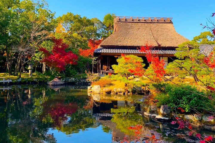 Explore the Timeless Heritage of Nara from Kyoto
