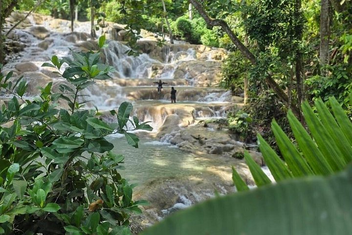 Dunns River Falls Climb and Ocho Rios Highlights with Shopping