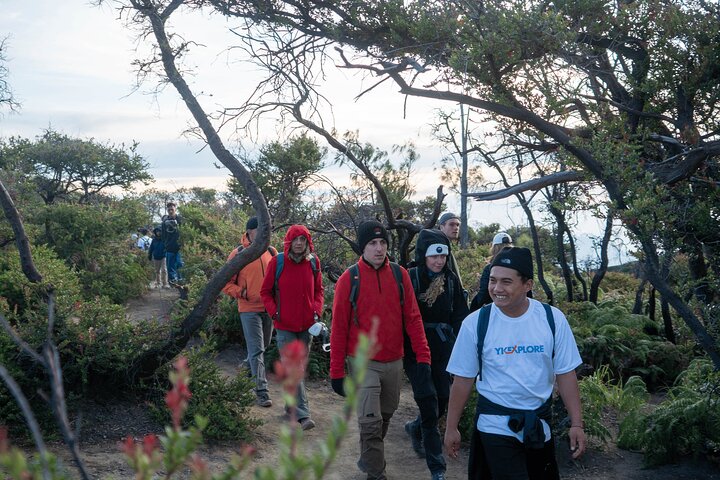 From Bali Mount Bromo Sunrise and Ijen Volcano Blue Fire
