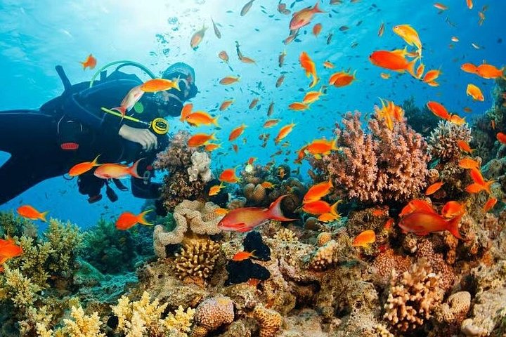 Full-Day Guided Scuba Diving Adventure in Phu Quoc